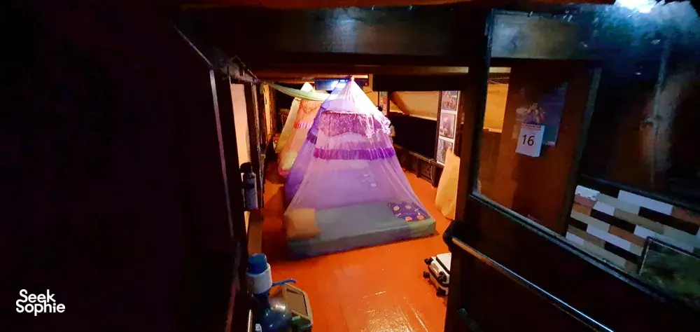 Seek Sophie option picture