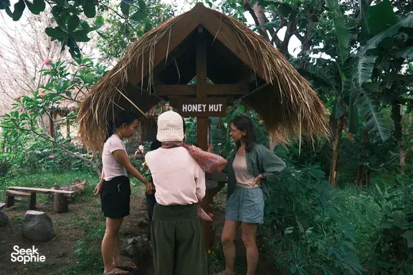 The Secret Life of Bees | Meet Unique Stingless Bee on Lombok Farm