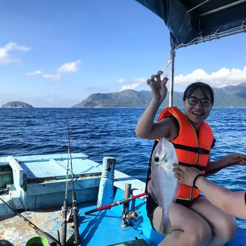 Seek Sophie option picture