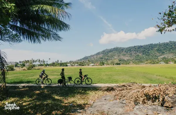 Bicycles roll through a sunny Langkawi countryside field on Bicycle Day Langkawi, with palm trees and forested hills ahead