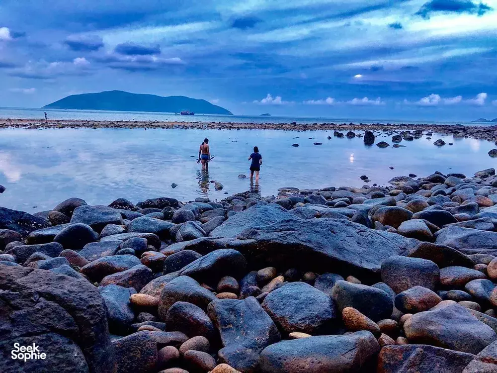 Seek Sophie option picture