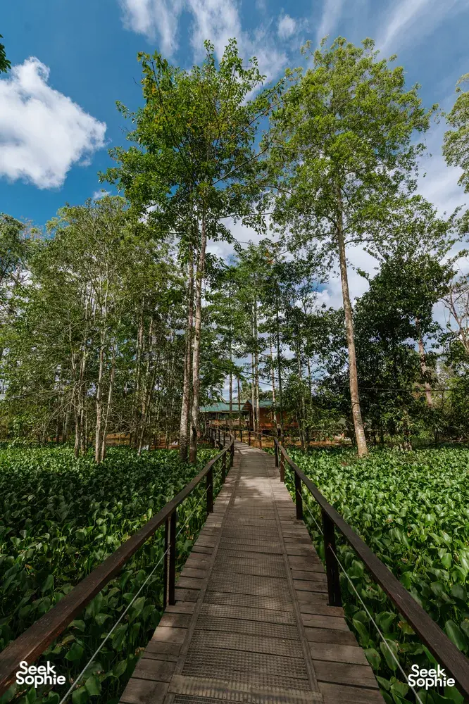 Seek Sophie option picture