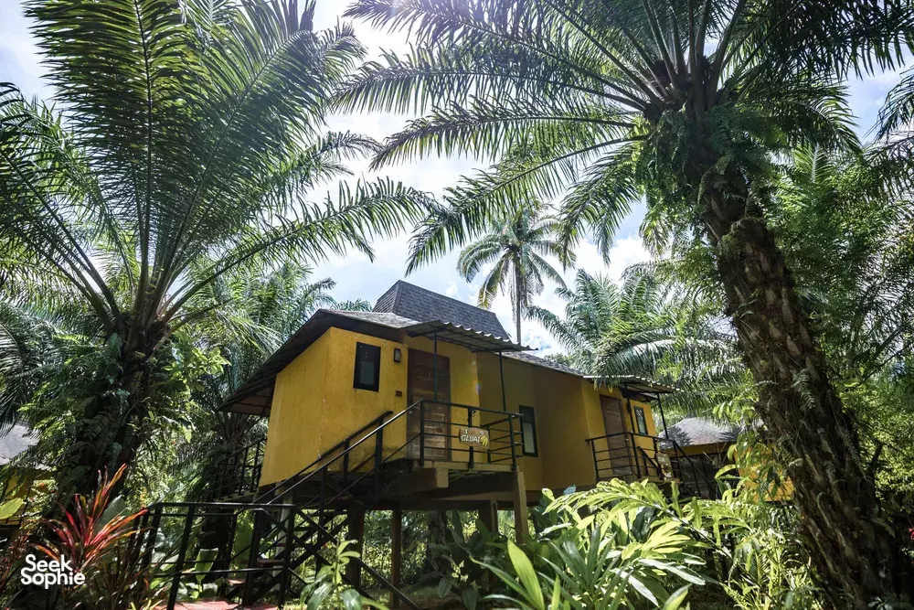 Anurak Lodge perched bungalow with veranda steps, surrounded by towering palms and tropical greenery in Khao Sok National Park