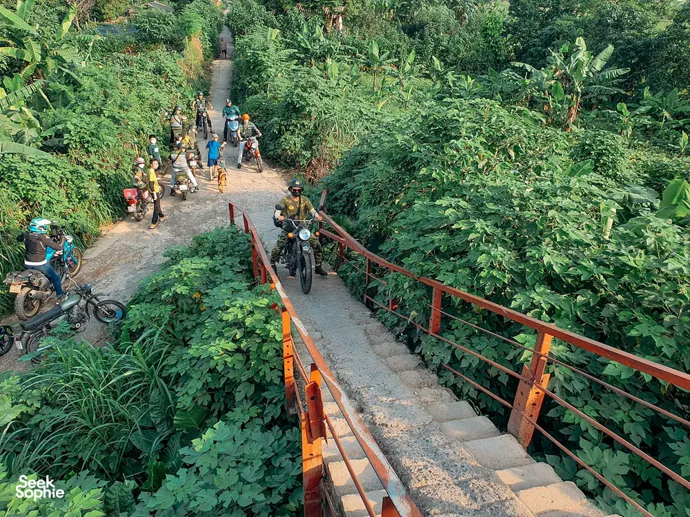 Seek Sophie option picture