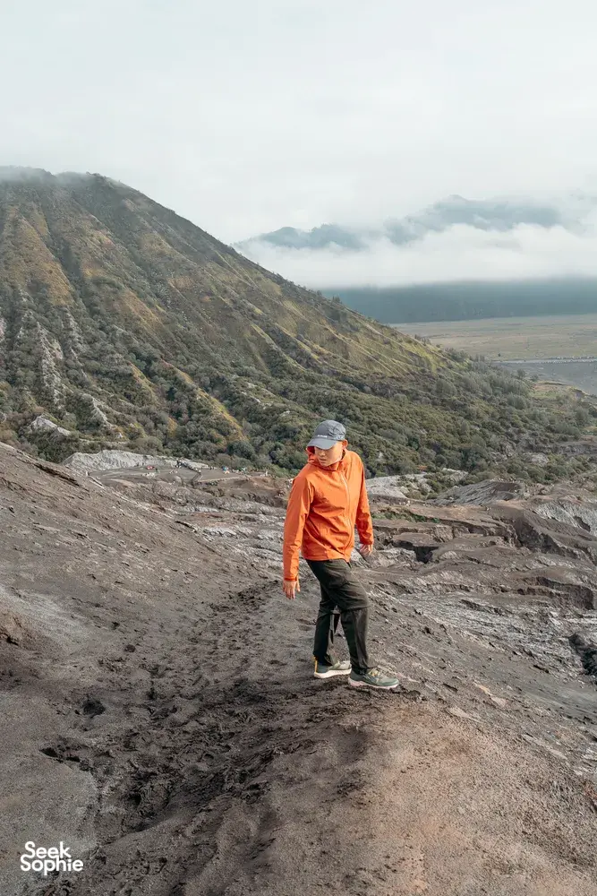 Seek Sophie option picture