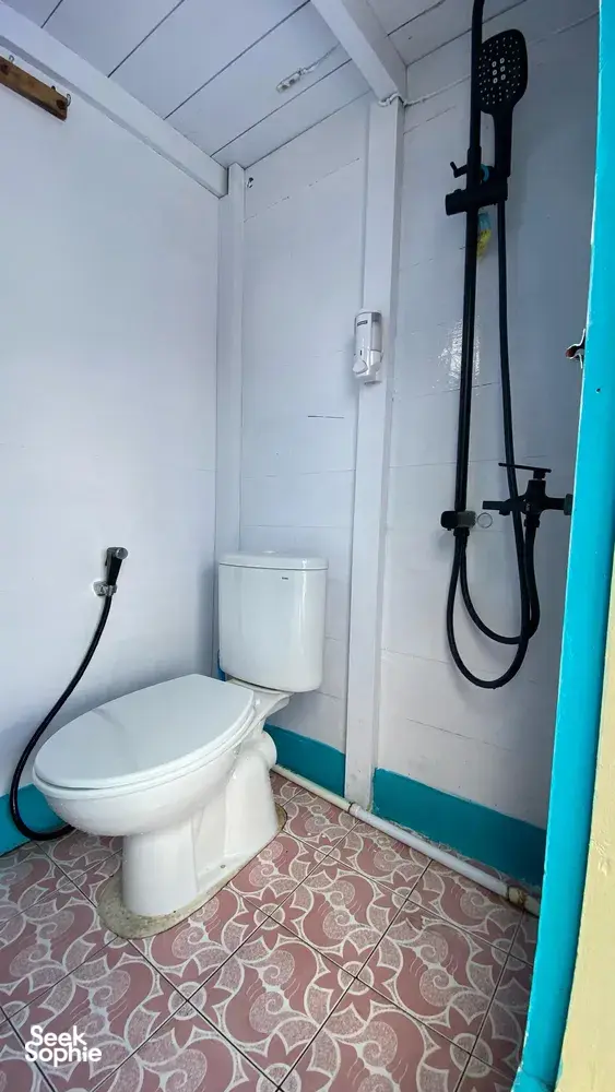 Seek Sophie option picture