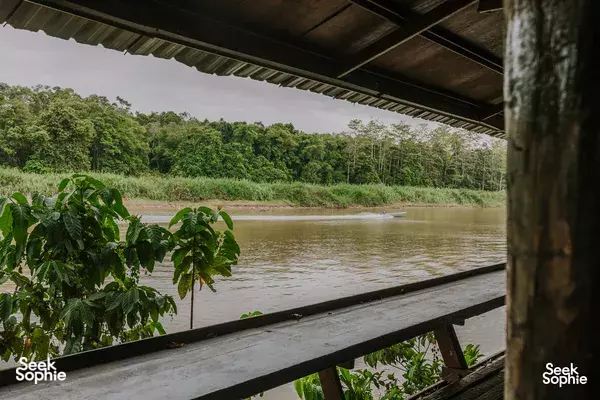 Jungle riverbank view framed by a balcony railing at Scenic Riverside Resort, looking down the Kinabatangan River in Sabah