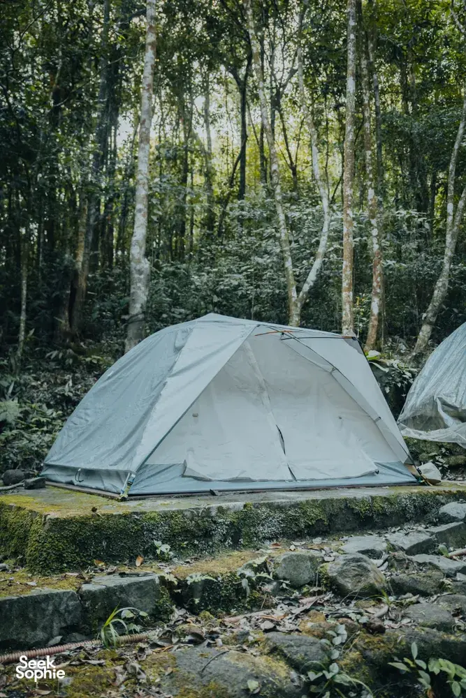 Seek Sophie option picture