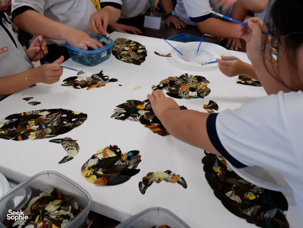 Seek Sophie option picture