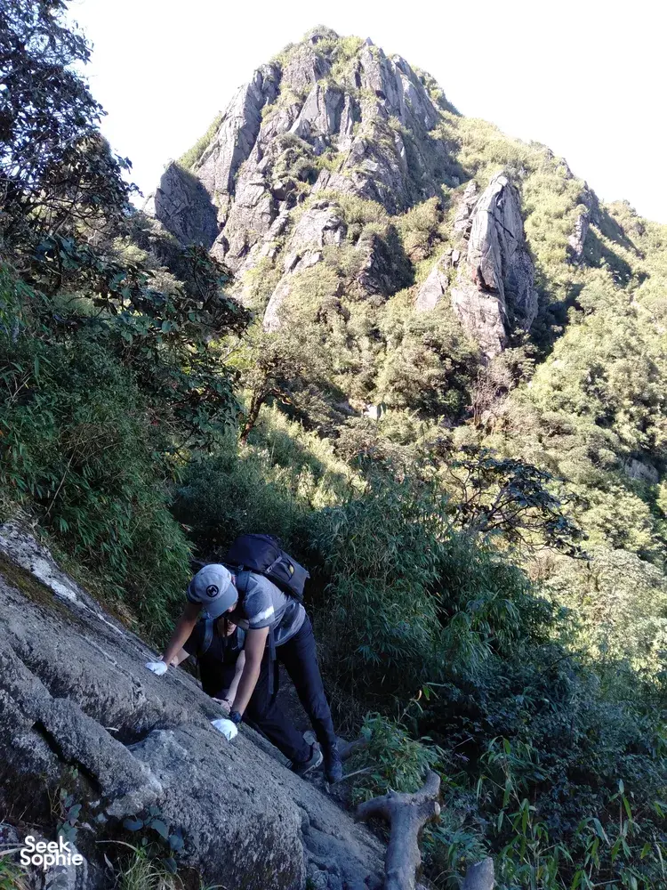 Seek Sophie option picture