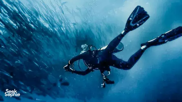 Diving in Malaysia