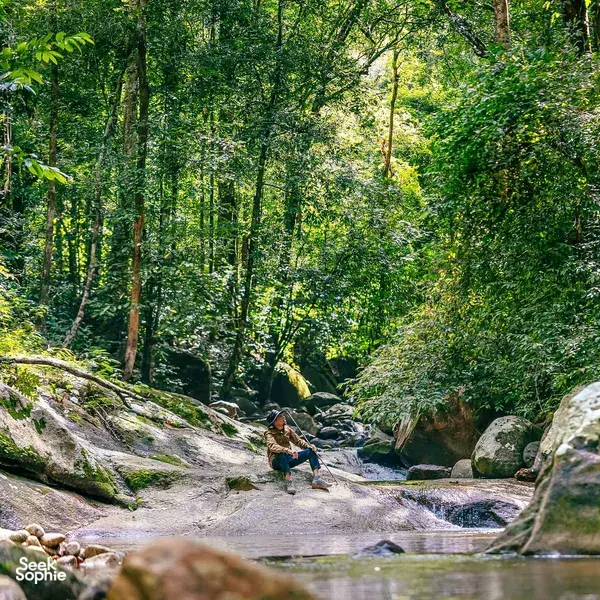 Quiet rainforest trail by stream in Gunung Raya, Langkawi during a herbalist-led gentle forest walk with Darulaman Sanctuary