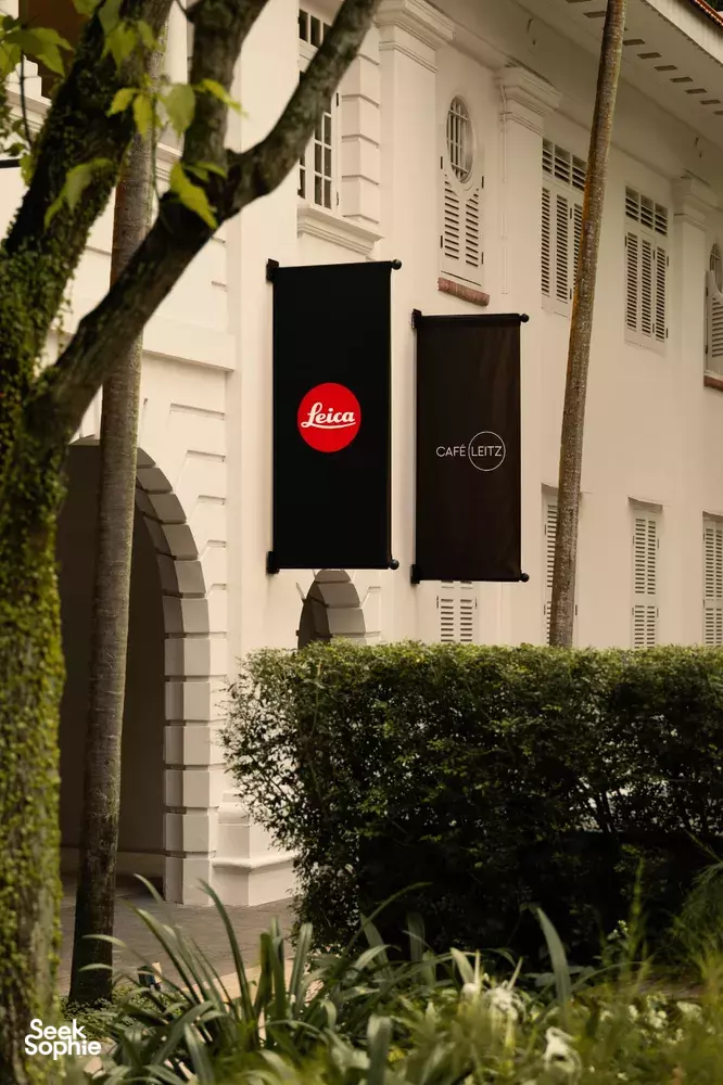 Seek Sophie option picture