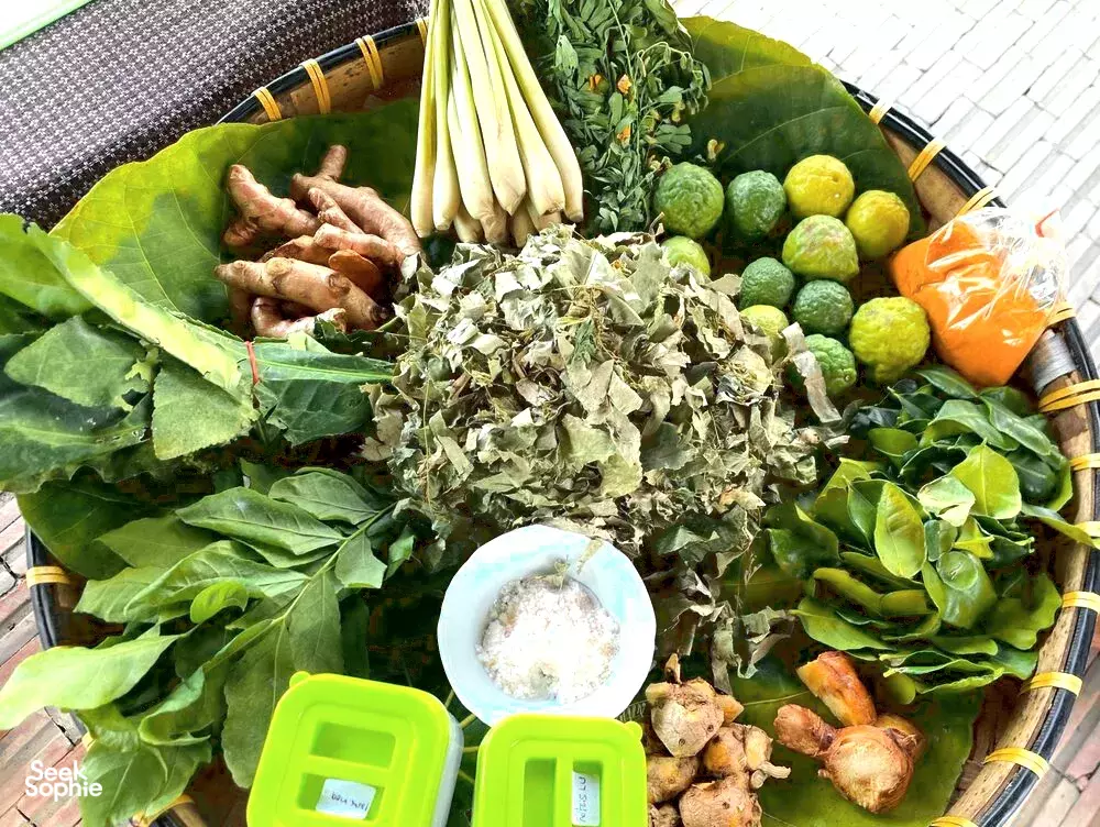 Seek Sophie option picture