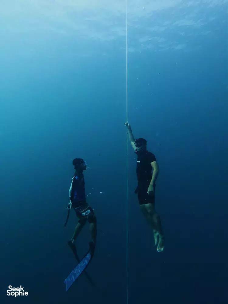 Seek Sophie option picture