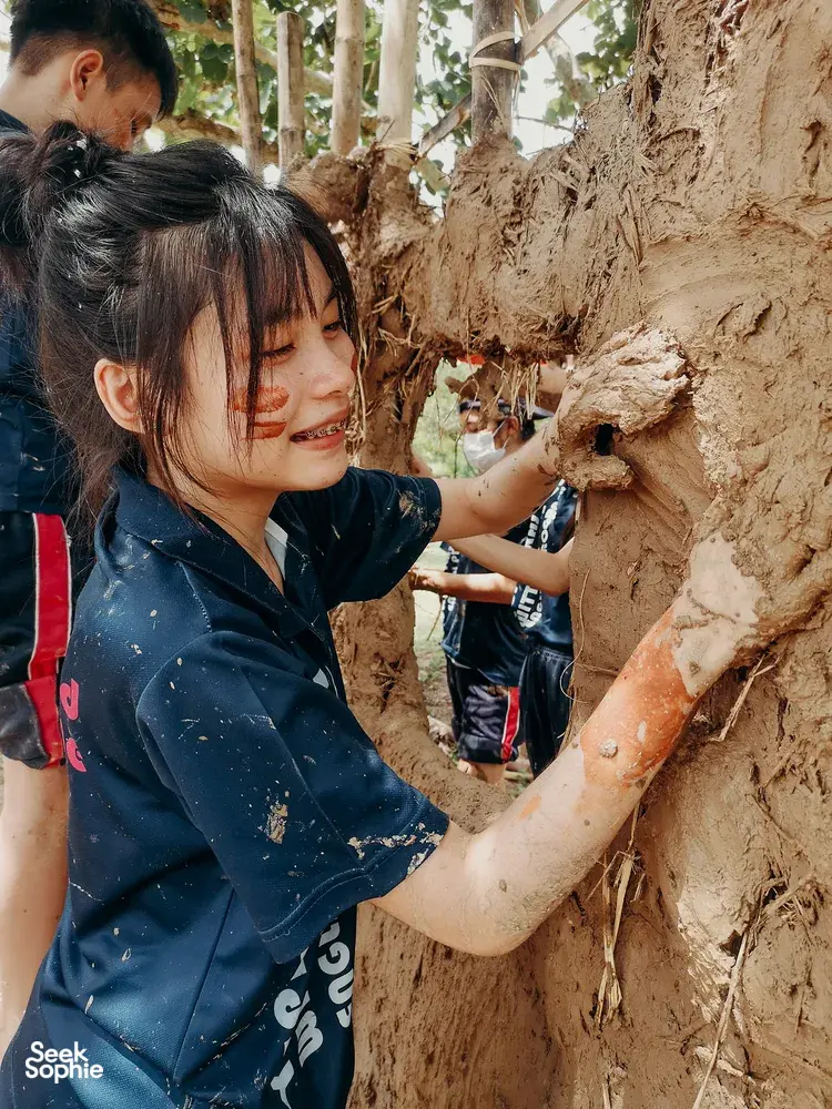 Seek Sophie option picture