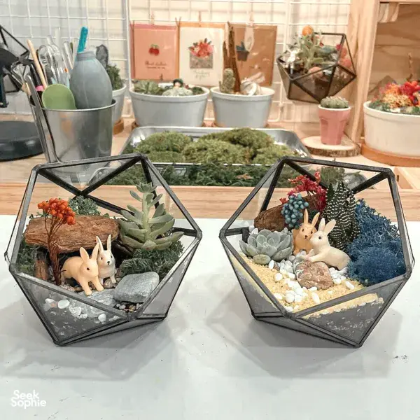 Private Great-Value Terrarium Workshop | Perfect for Teams or Parties