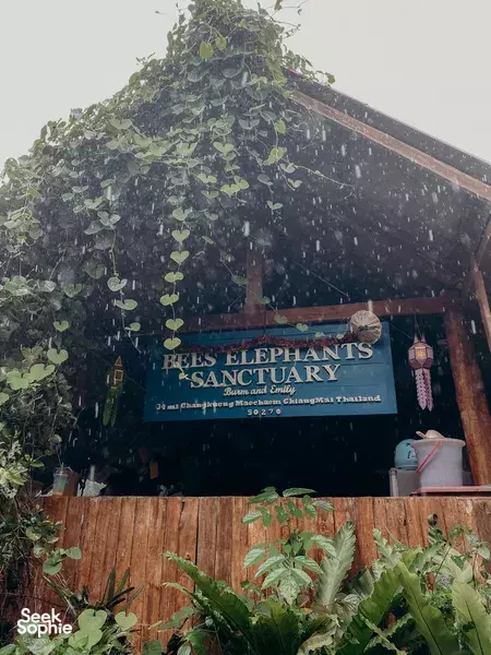 Rainy view of the BEES Elephant Sanctuary banner on a wooden shelter surrounded by vines at Burm & Emily's Elephant Sanctuary