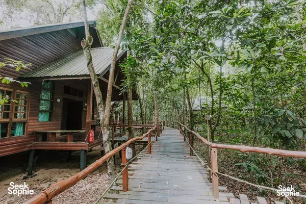 Raised wooden walkway through dense green forest beside a lodge building at Borneo Natural Sukau Bilit Resort, Sandakan
