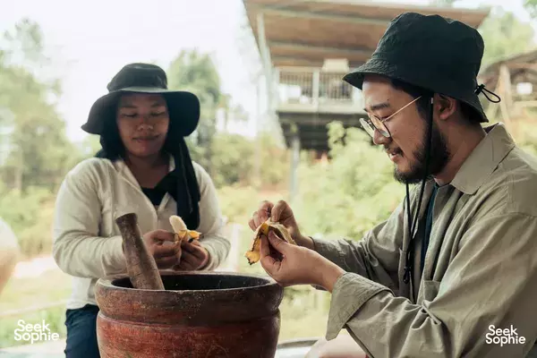 See Happy Elephants in Paradise