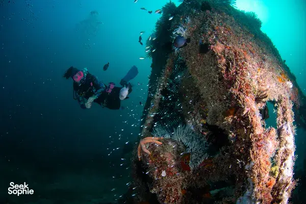 Scuba diver swimming beside a coral-covered wreck on a Semporna offshore dive rig, with more divers in the distance
