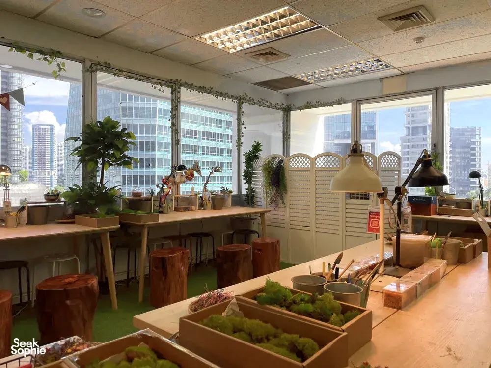 Seek Sophie option picture