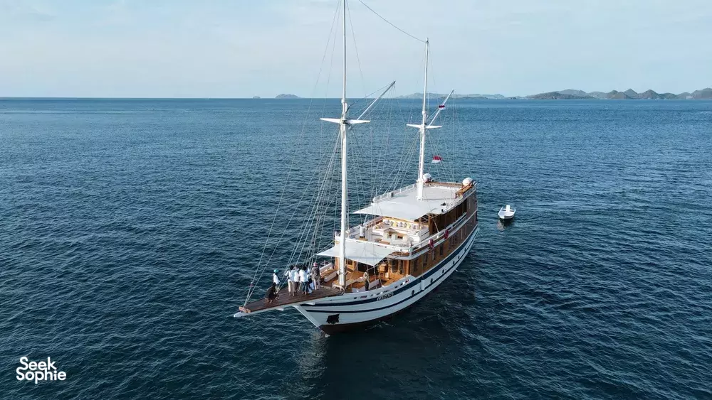 Seek Sophie option picture