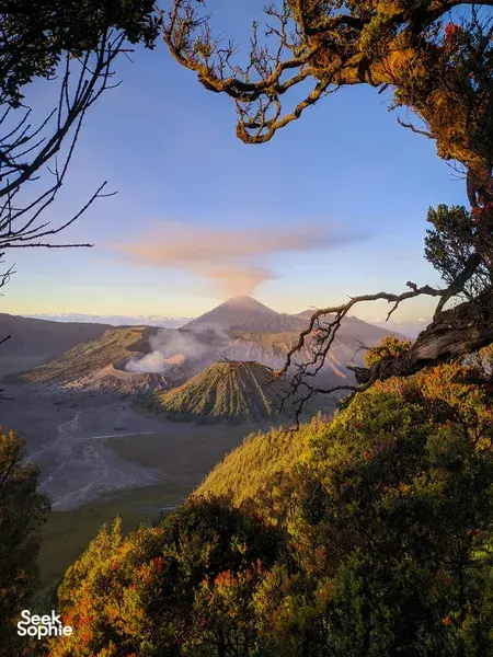 2D1N Bromo & Ijen | Panduan Berbahasa Inggris Langka!