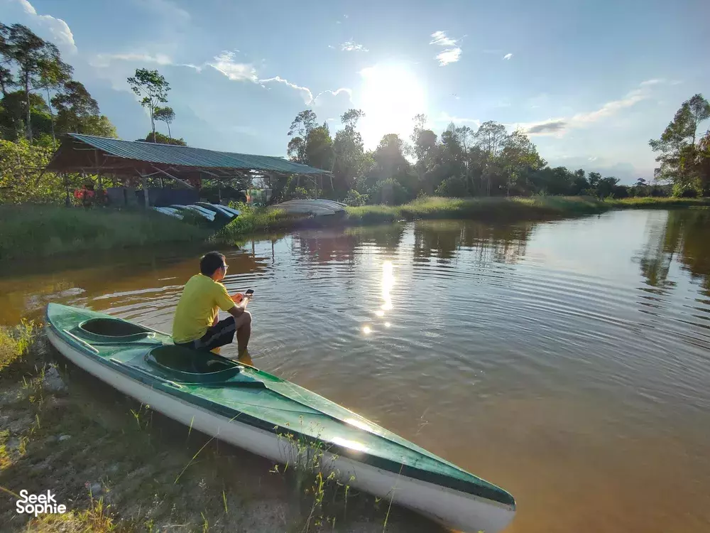 Seek Sophie option picture