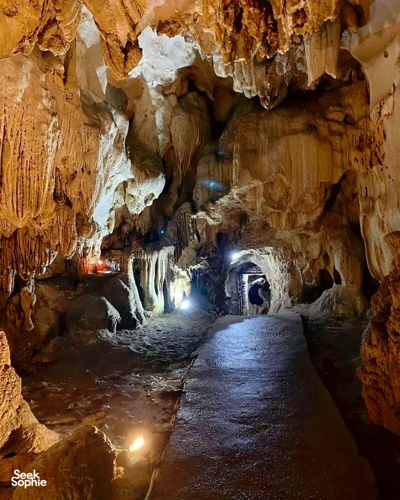 Seek Sophie option picture