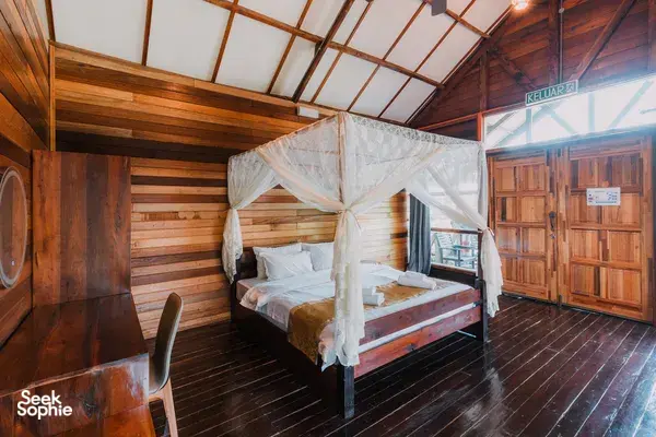 3D2N Borneo Wildlife Combo | Sepilok Orangutans + Kinabatangan River