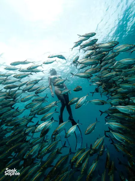 Secret Gili Camping | Snorkelling & Stargazing on Magical Island