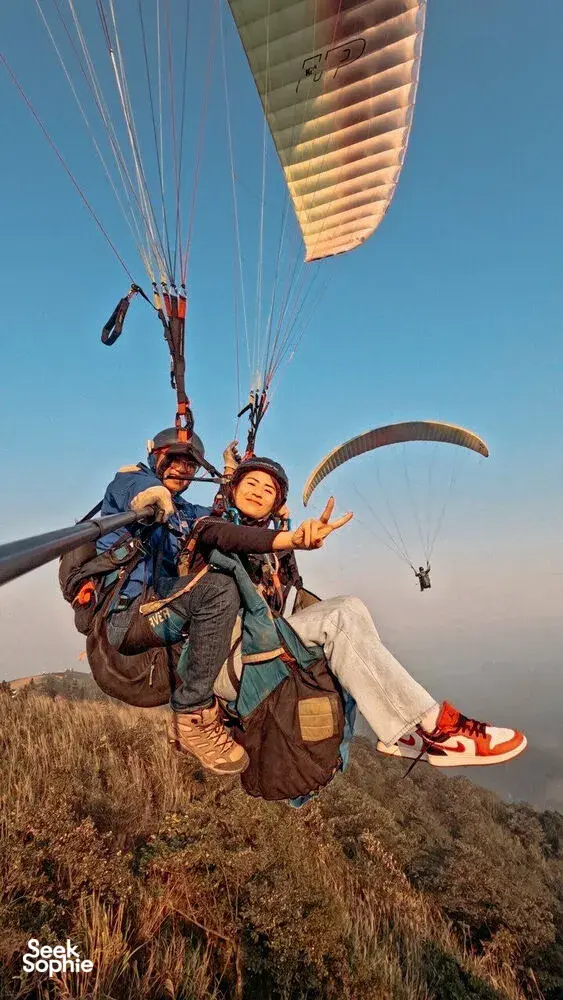 Seek Sophie option picture