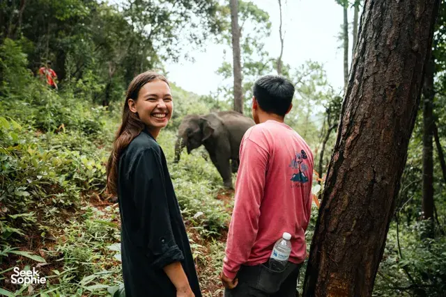 Smiling travellers meeting an elephant in a rainforest clearing on the Hidden Doi Inthanon trails near Chiang Mai