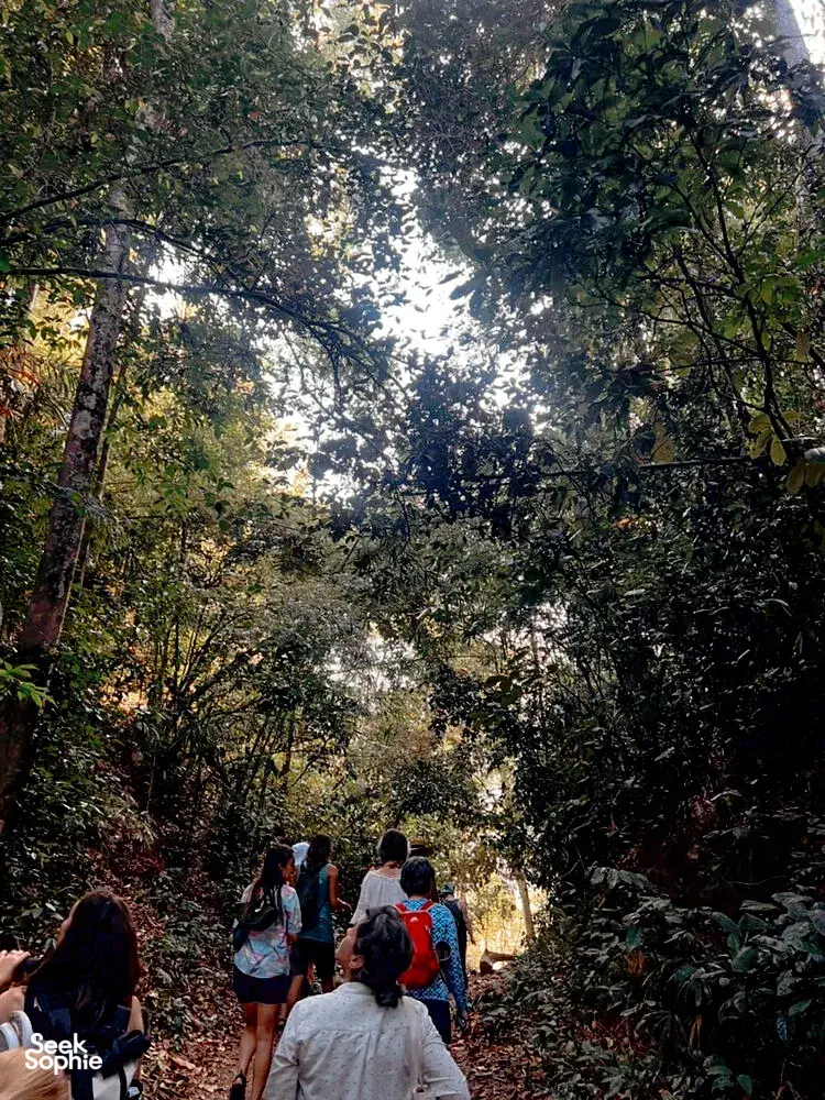 Seek Sophie option picture