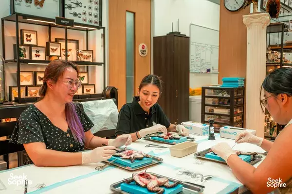 Pembedahan Katak bersama Pakar Hidupan Liar