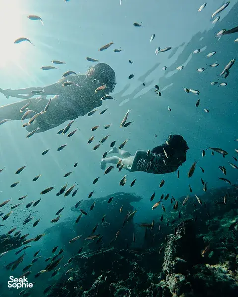 Private Half Day Snorkelling Trip in Khao Lak's Secret Beach 