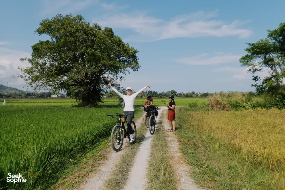 Cyclists pedal along a narrow countryside lane in Langkawi, passing bright green rice fields under a blue sky
