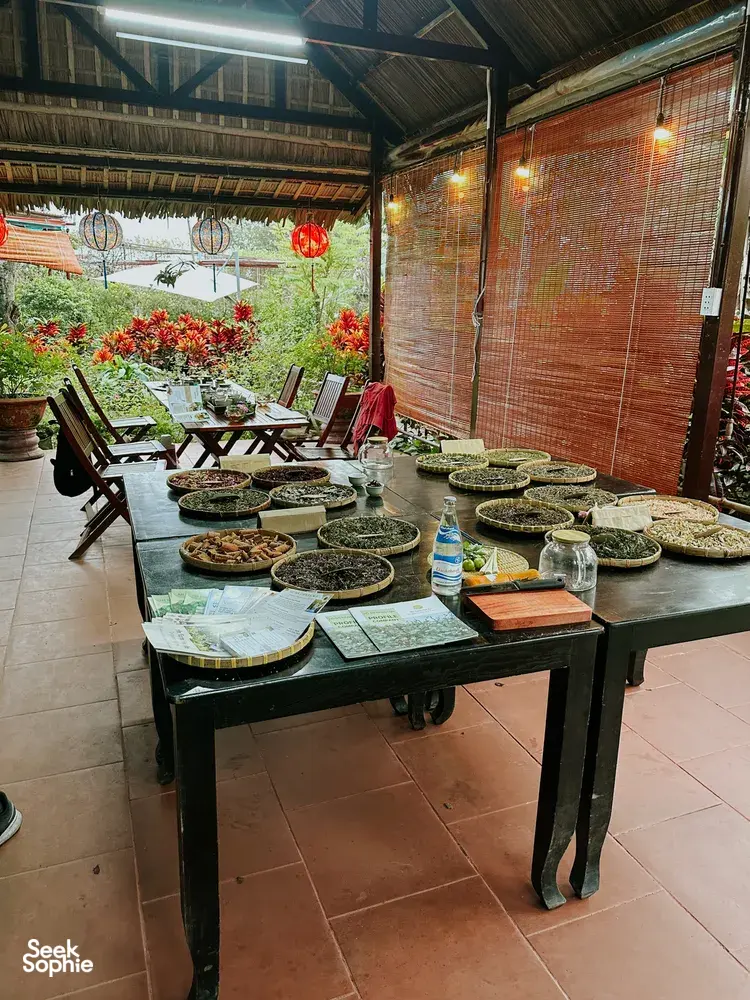 Seek Sophie option picture