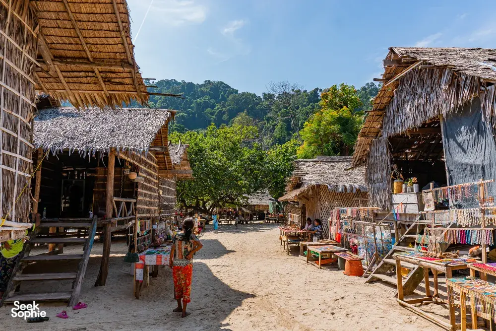 Seek Sophie option picture