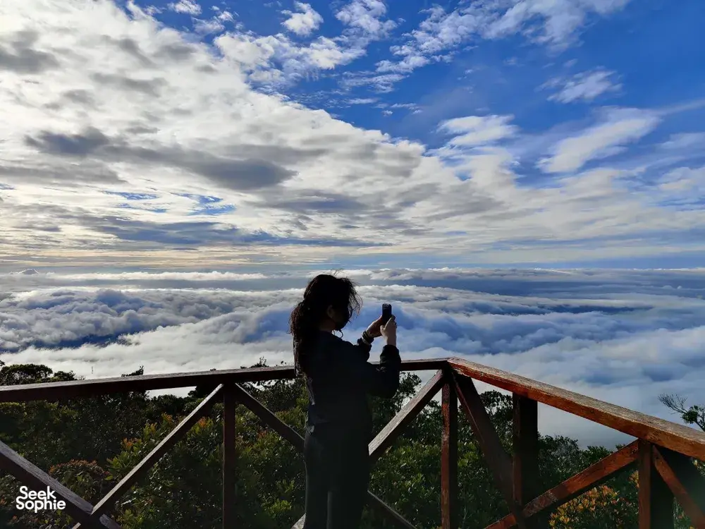 Seek Sophie option picture