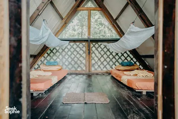 3D2N Kinabatangan River Safari | Away from the Crowds