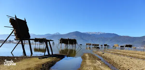 Traditional wooden fish racks on a lake edge near Shangri-La, with drying platforms stretching toward distant mountains