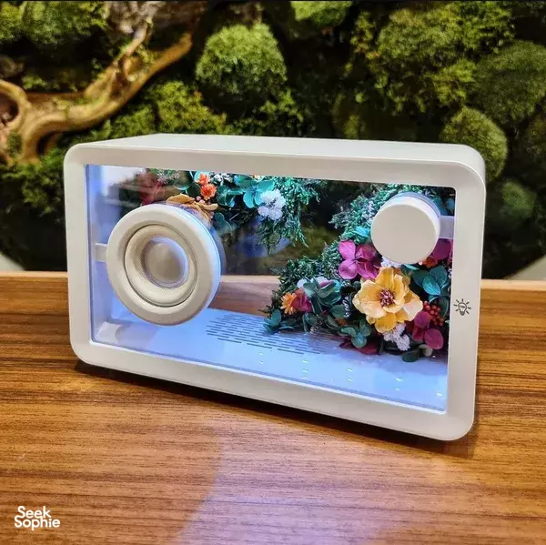 Build a Mossy Bluetooth Jukebox 