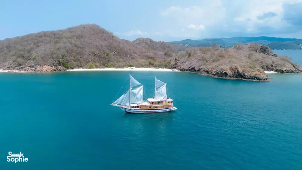 Seek Sophie option picture