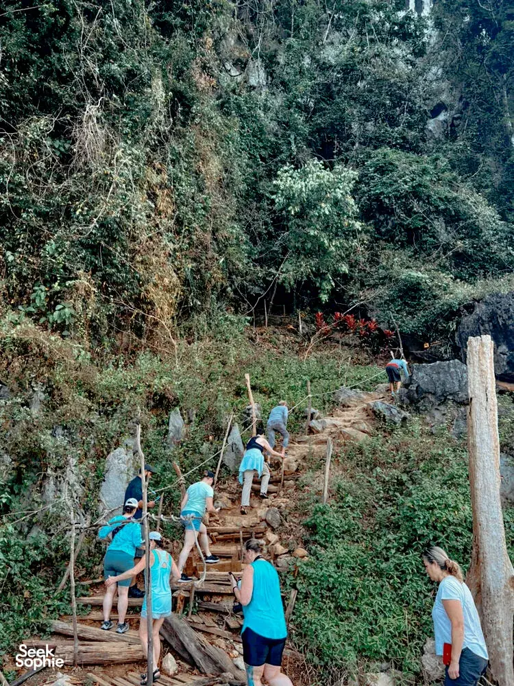 Seek Sophie option picture