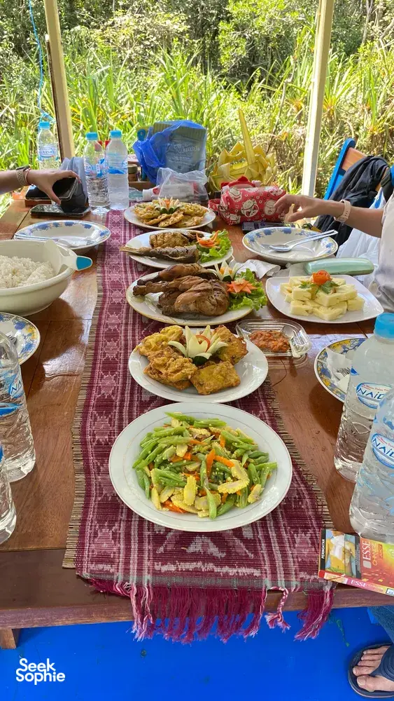 Seek Sophie option picture