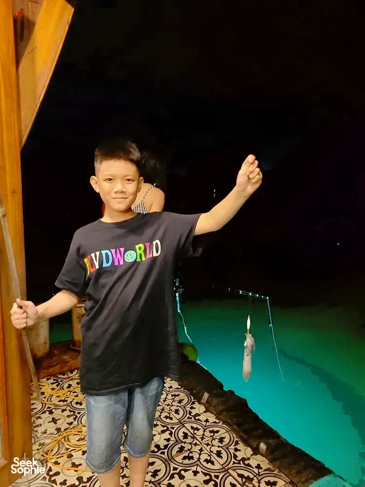 Seek Sophie option picture