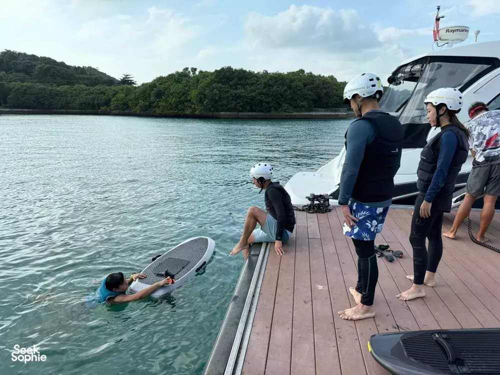 Seek Sophie option picture