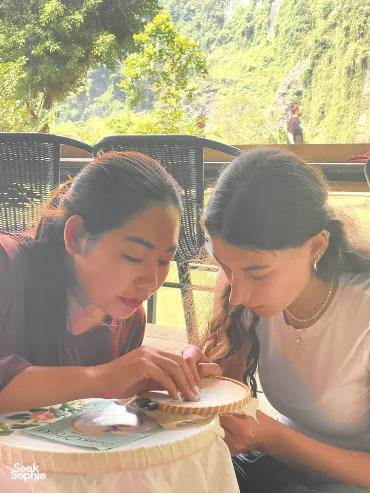 Seek Sophie option picture